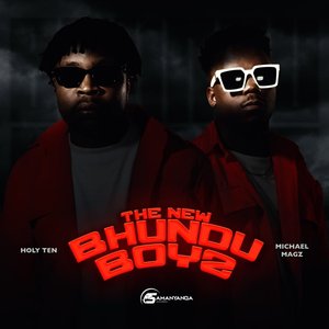 Image for 'The New Bhundu Boyz'