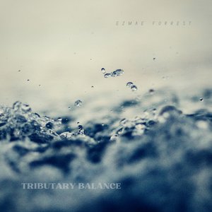 Imagem de 'Tributary Balance'