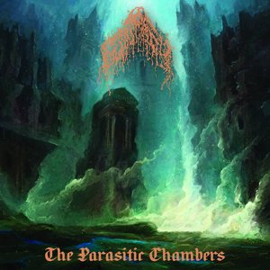 Image for 'The Parasitic Chambers'