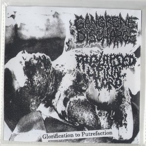 Image pour 'Glorification Of Putrefaction'