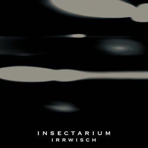 Image for 'irrwisch'