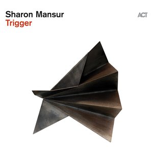 Image for 'Trigger'