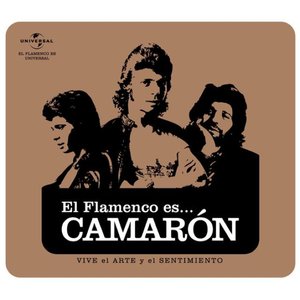 Immagine per 'Flamenco es... Camaron'
