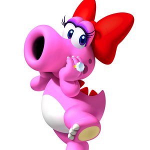 Image for 'birdo'