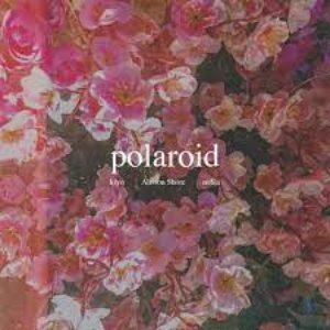 Image for 'Polaroid'