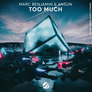 “Too Much”的封面