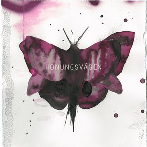 “Honungsvägen”的封面