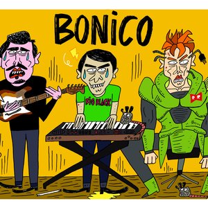 Image pour 'BoNico'