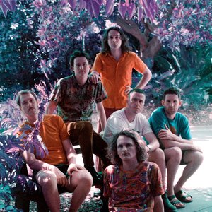 Image for 'King Gizzard & The Lizard Wizard'