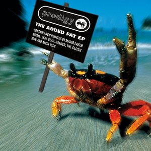 Image for 'The Added Fat EP'