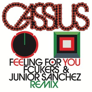 Image for 'Feeling For You (Fcukers & Junior Sanchez Remix)'
