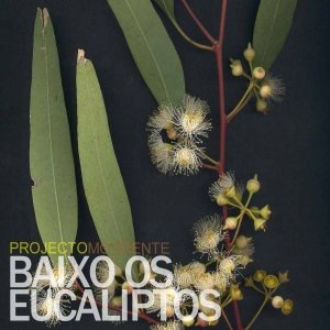Изображение для 'Baixo os eucaliptos'