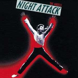Изображение для 'Night Attack'