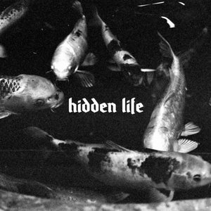 Image for 'Hidden Life'