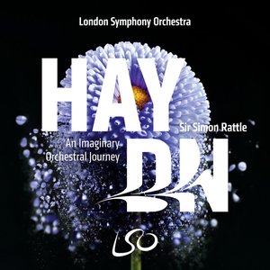 Image for 'Haydn: An Imaginary Orchestra Journey'