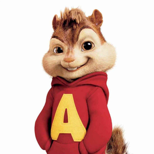 alvin6048