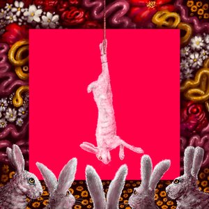 Image for 'Carne'