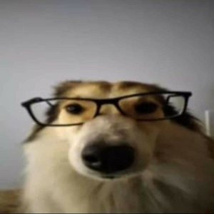 analuxxs