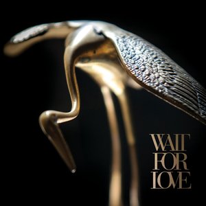 Image for 'Wait for Love'