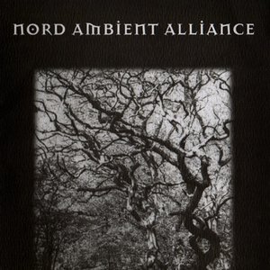 Image for 'Nord Ambient Alliance'