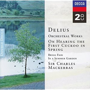 Image for 'Delius: Orchestral Works'
