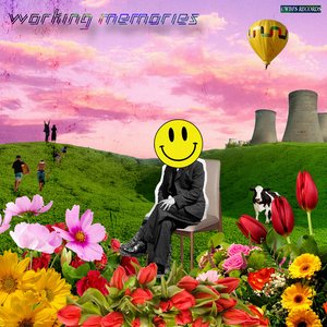 Image for 'working memories'