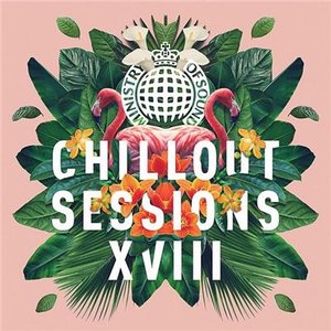 Immagine per 'Ministry of Sound: Chillout Sessions XVIII'
