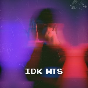 “idk wts”的封面