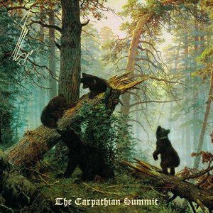 Image for 'The Carpathian Summit'