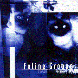 Image for 'Feline Groove'