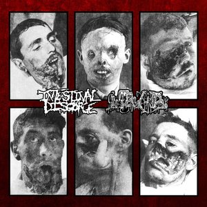 Zdjęcia dla 'Intestinal Disgorge / Inopexia [Split]'