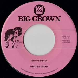 Image for 'Grow Forever b/w Now It’s Your Turn To Sing'