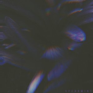 Image for 'Spearmint'
