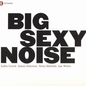 “Big Sexy Noise”的封面