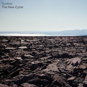 Immagine per 'The New Cycle'
