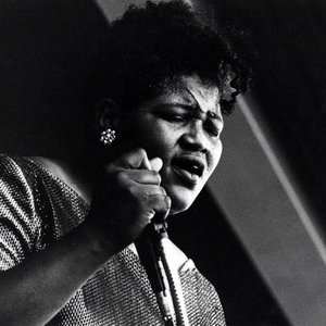 Image pour 'Big Mama Thornton'