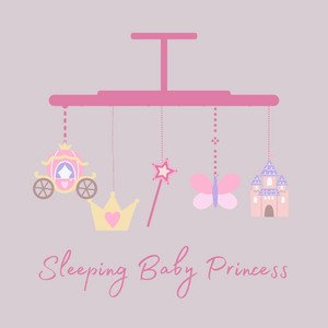 Image for 'Sleeping Baby Princess'