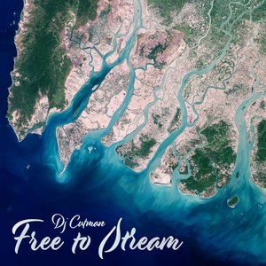 “Free to Stream”的封面