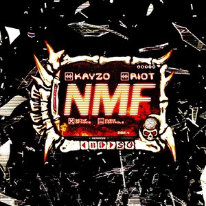 Image for 'NMF'