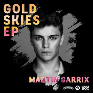 Image for 'Gold Skies'