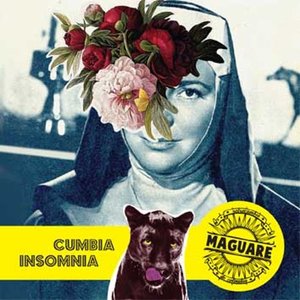 Image pour 'Cumbia Insomnia'