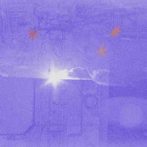 Image for 'La mia stella aggressiva si nasconde nelle virgole e nei punti'