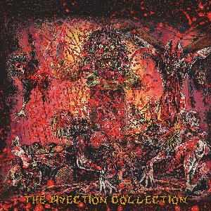 Imagen de 'The Bisection Collection'
