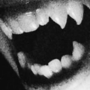Image for 'dj cerejass'