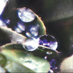 Image for '2324'