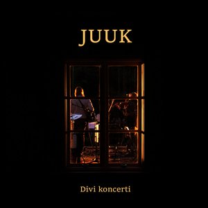 Image for 'Divi koncerti'