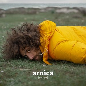 Image for 'Arnica'