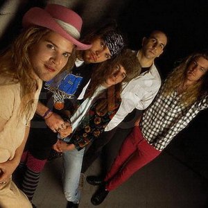 Immagine per 'Mother Love Bone'