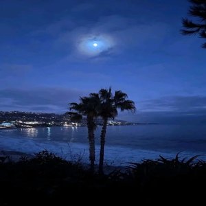 Immagine per 'Midnite'