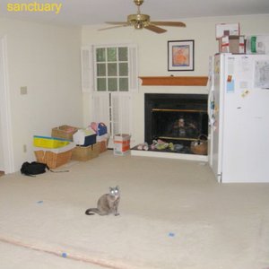 Image for 'Sanctuary'